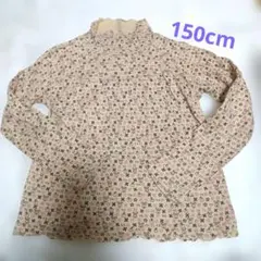 ティンカーベル　長袖　150cm