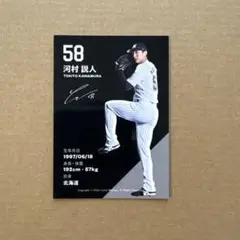 千葉ロッテマリーンズ スポーツカード