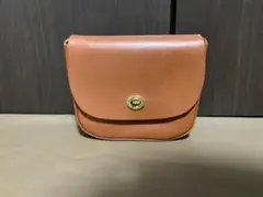 Item thumbnail for item 076aa11c-e223-48ef-b3f0-cd7dc6a7af92