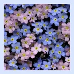 nao様 リクエスト 3点 まとめ商品