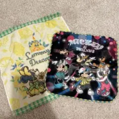 ディズニーキャラクタータオル2枚セット