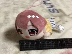 2025年最新】からつけあっきぃくてんこマスコットぬいぐるみの