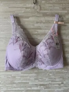 F75」トリンプ 夢みるブラ(R)シャインオブクリスタル DeepV ブラジャー