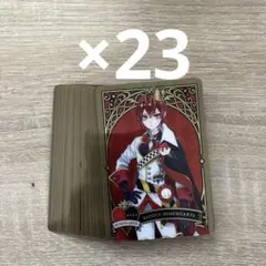 ツイステ メタルカード メタカ まとめ売り リドル寮服 23枚