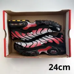 24cm ナイキ GS エアマックスプラス 