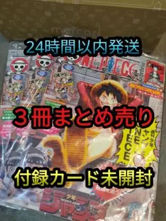 【付録カード未開封】ワンピースマガジン 20号 3冊まとめ売り