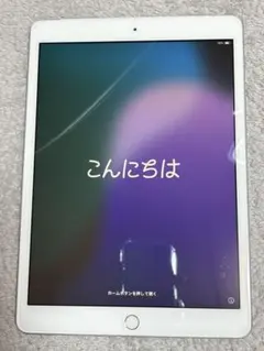 最終値下げ【動作確認済】iPad（第8世代） Wi-Fi ＋セルラー