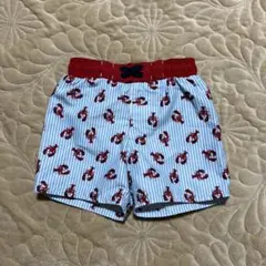 ロブスター　ストライプ　水着