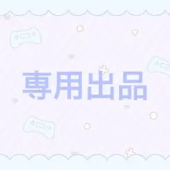 専用出品