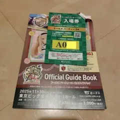ドルパ54 ドールズパーティー54 ボークス 抜き取りなし Aグループ 入場券