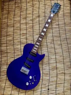 ☆値下☆美品珍品　モディファイして新機能満載　GrassRoots SSS LP