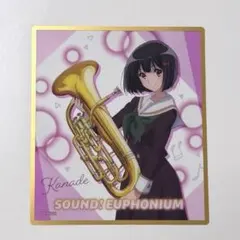 響け！ユーフォニアム トレーディングクリアミニ色紙 奏