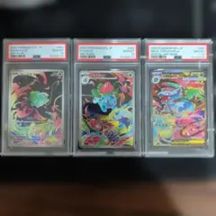 PSA10 連番 フシギダネAR フシギソウAR メガフシギバナex SAR