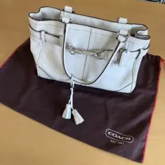 美品　コーチレザーバッグ　ファスナー付き