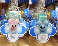 【新品】東京ディズニーリゾート カチューシャホルダー　ペアセット