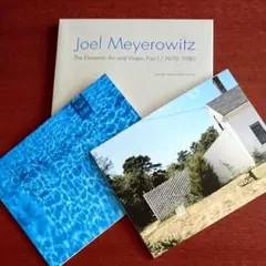2025年最新】joel meyerowitzの人気アイテム - メルカリ