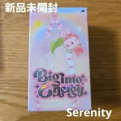 R.K.(^_^)様 リクエスト 2点 まとめ商品