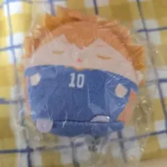 ハイキュー/くじメイト/日向翔陽/E賞 てのりんず/ぬいくじ