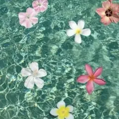 harucha 様　専用ページ