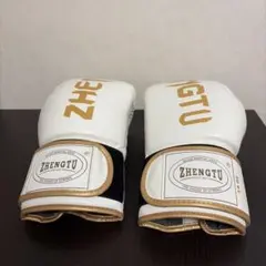 TENSHIN ボクシンググローブ ISAMI ホワイト/ゴールド 10oz - メルカリ