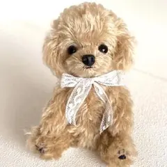 テディベア ハンドメイド 作家 ai bear トイプードル 犬 19㎝ いぬ