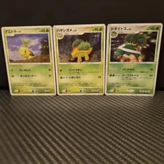 構築デッキ エントリーパック　ナエトル ハヤシガメ ドダイトス 3枚セット