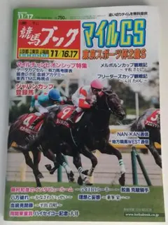 週刊競馬ブック 2019年11月17日号 マイルCS インディチャンプ