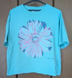 ユニクロ アンディ・ウォーホル フラワーズ コレクション UT Tシャツ