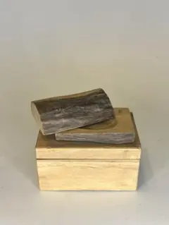 Item thumbnail for item 4d3c4ec2-ad1e-4426-9957-2c1ee014286d