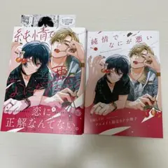 純情でなにが悪い アニメイト限定8P小冊子 応援書店ペーパー付き