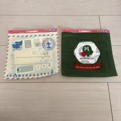 Item thumbnail for item 336ded25-8290-4253-98b9-78da2391596a