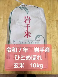 ひとめぼれ 玄米 10kg 岩手産 令和7年のサムネイル