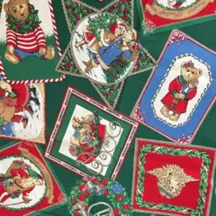 男の子　女の子　クリスマス　サンタクロース　テディ　グリーン