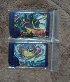 ポケモンフレンダ　ジガルデ　ルチャブル　スーパートレジャー