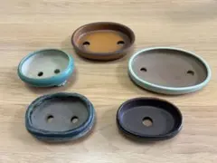 2026年最新】盆栽鉢 楕円の人気アイテム - メルカリ