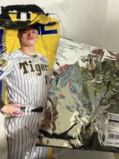 坂本誠志郎 ユニフォーム L※説明欄要確認 坂本誠志郎 ユニフォーム L※説明欄要確認 坂本誠志郎