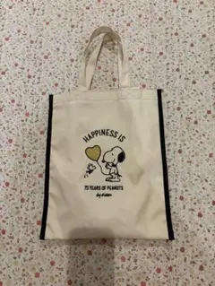 Item thumbnail for item 65c96350-e809-4033-98fd-b0587925485e