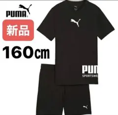 【新品 未使用】PUMA プーマ スポーツ Tシャツ ショートパンツ 上下セット