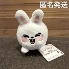 SKZOO くっつきぬいぐるみ　GIGO限定　リービット