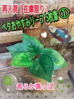 にくさむ様 リクエスト 2点 まとめ商品