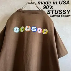 希少 90's USA製 オールドステューシー 東京チャプト限定tシャツ 茶 L