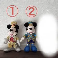 【個別購入可能】 ミッキーマウス ぬいぐるみバッジ 2点セット