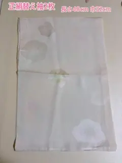 Item thumbnail for item 63521046-4b71-410c-99a5-514094202600