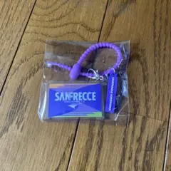 サンフレッチェ広島 アクリルキーホルダー