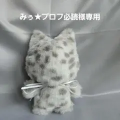 雨蛙 ぬい服 着ぐるみ オーダーページ にじぱぺっと ちびぐるみ 2026年最新】にじぱぺっと 服 オーダーの人気アイテム - メルカリ
