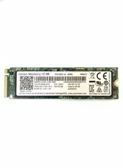 Union Memory 256GB NVMe SSD AM6672