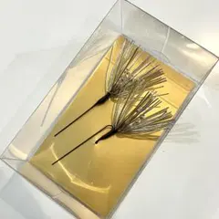 Item thumbnail for item 7ce2d50c-a782-4d0b-9cbf-87908e8c55a7