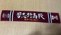 高校野球 応援グッズ