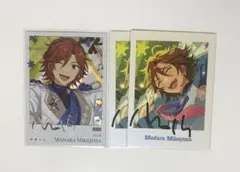 三毛縞斑 ポラロイド ぱしゃっつ