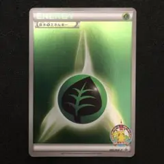 2025年最新】ポケモンカードゲームサマーカーニバルin東京タワー
